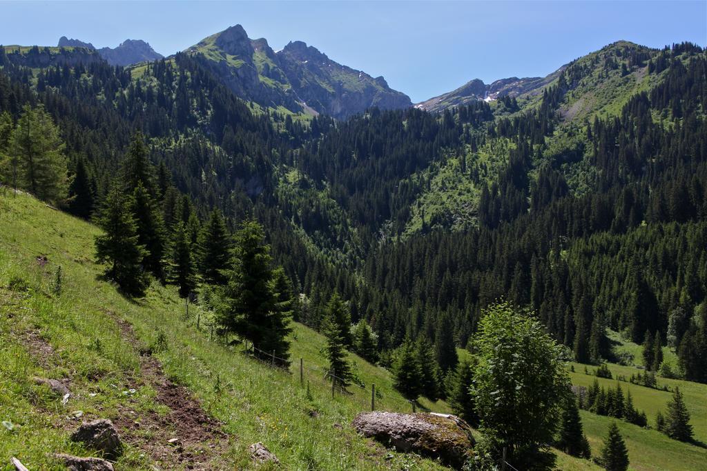 Hotel Le Relais Alpin Les Mosses Luaran gambar